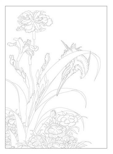 Coloring beauties of nature hen adult (2005) - Colouring Book