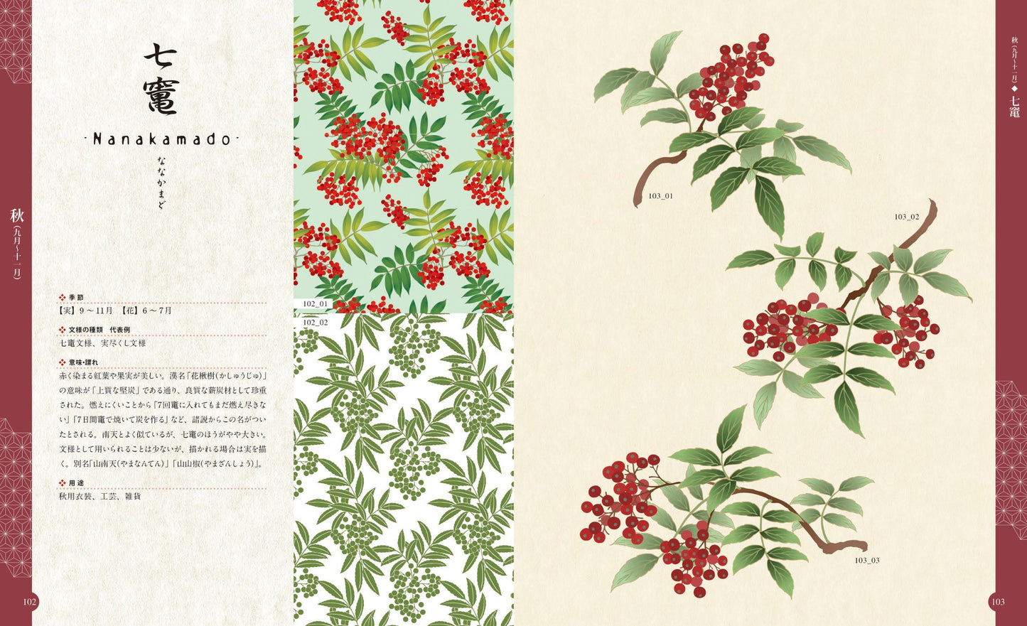 Shiki hanagoyomi : Wabana sozaishu. 2. - The Illustration of a Japanese Flower