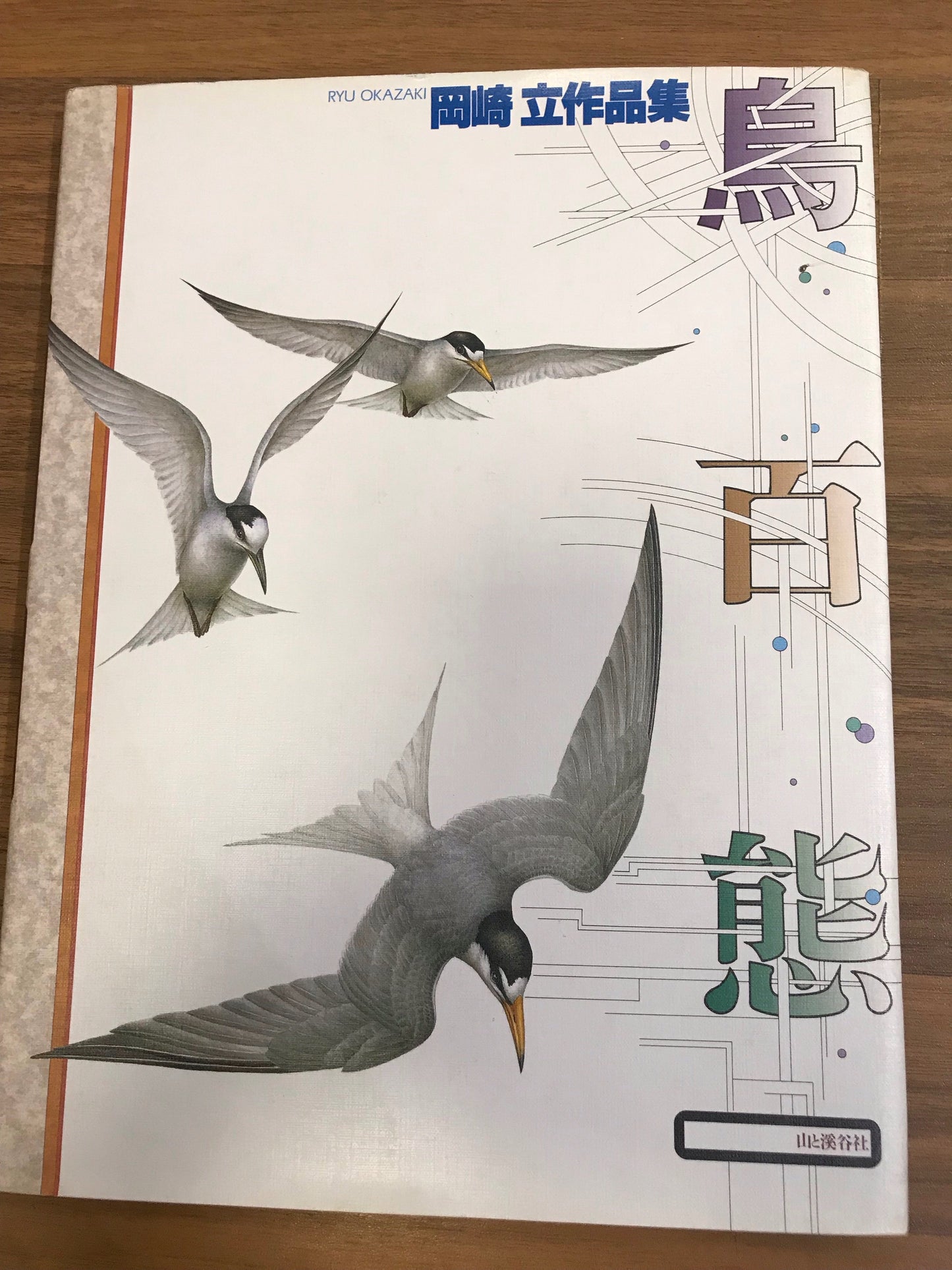 Ryu Okazaki Birds